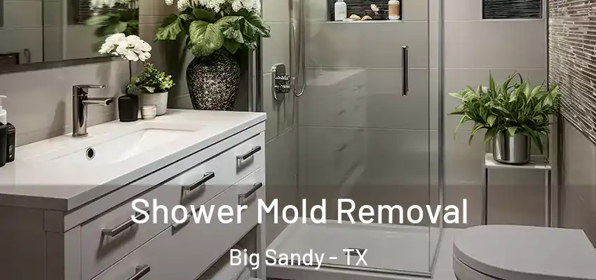  Shower Mold Removal Big Sandy - TX