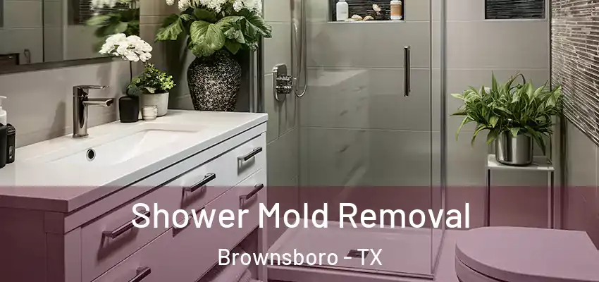 Shower Mold Removal Brownsboro - TX