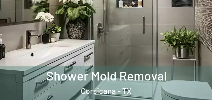 Shower Mold Removal Corsicana - TX