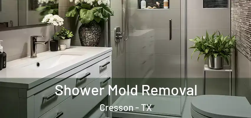 Shower Mold Removal Cresson - TX