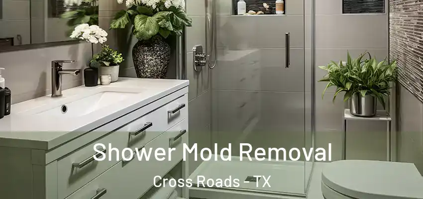  Shower Mold Removal Cross Roads - TX