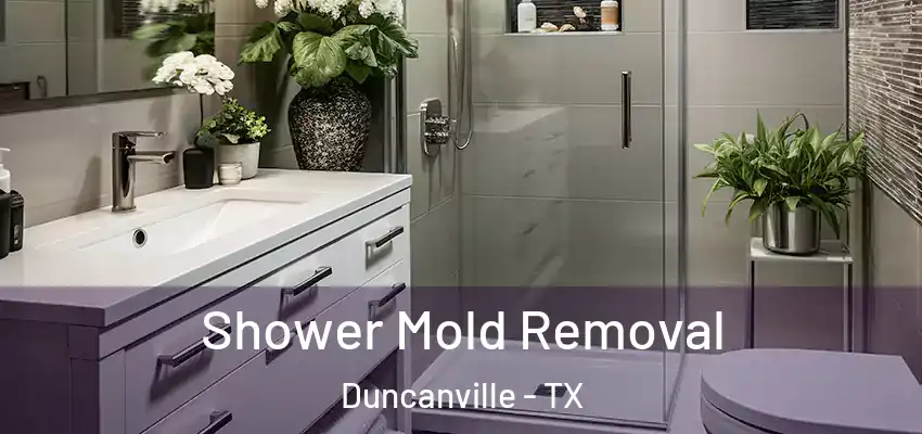 Shower Mold Removal Duncanville - TX