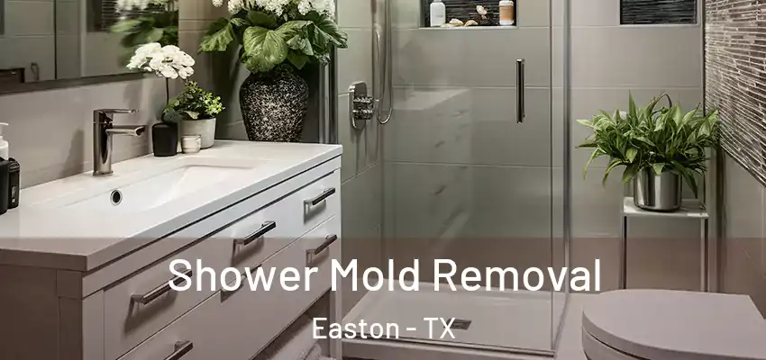  Shower Mold Removal Easton - TX