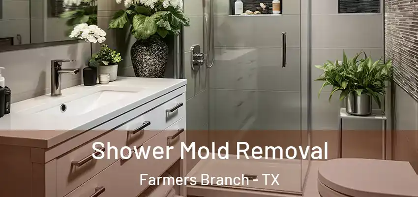 Shower Mold Removal Farmers Branch - TX