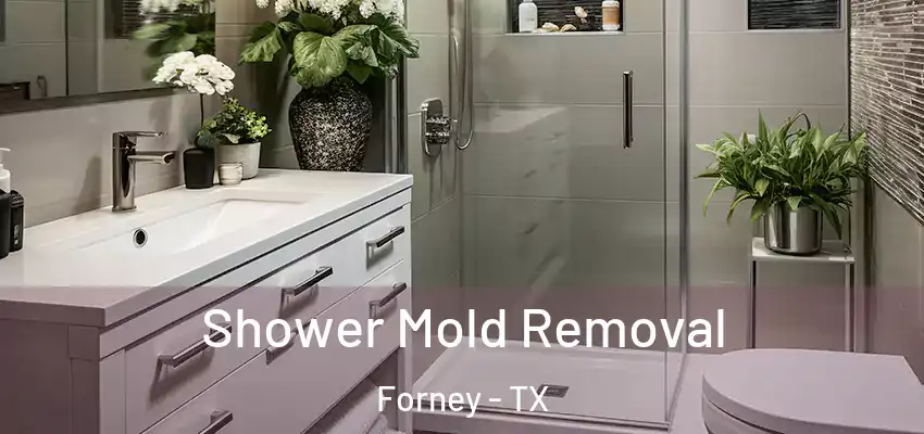  Shower Mold Removal Forney - TX