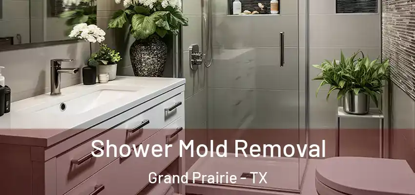  Shower Mold Removal Grand Prairie - TX