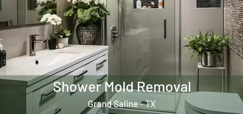  Shower Mold Removal Grand Saline - TX