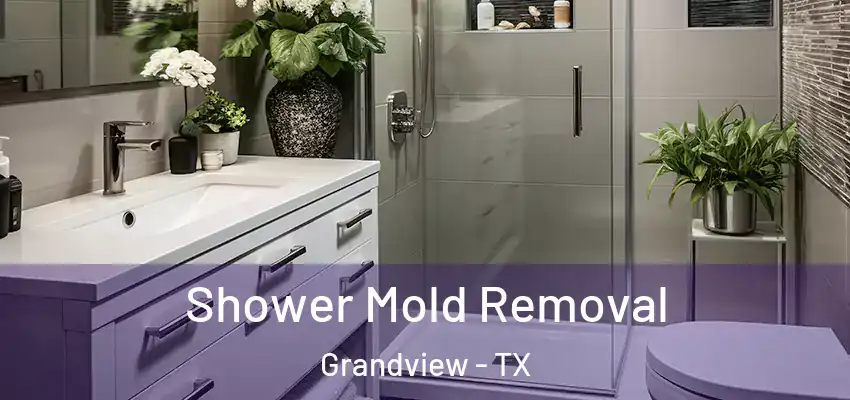  Shower Mold Removal Grandview - TX