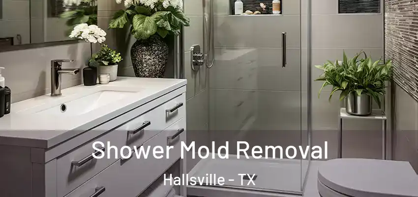 Shower Mold Removal Hallsville - TX