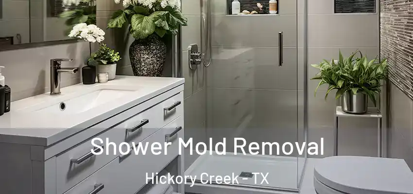  Shower Mold Removal Hickory Creek - TX