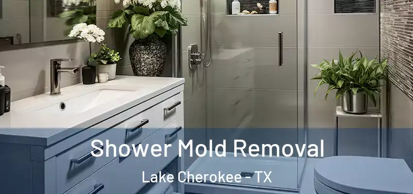  Shower Mold Removal Lake Cherokee - TX