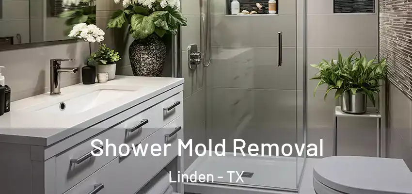 Shower Mold Removal Linden - TX