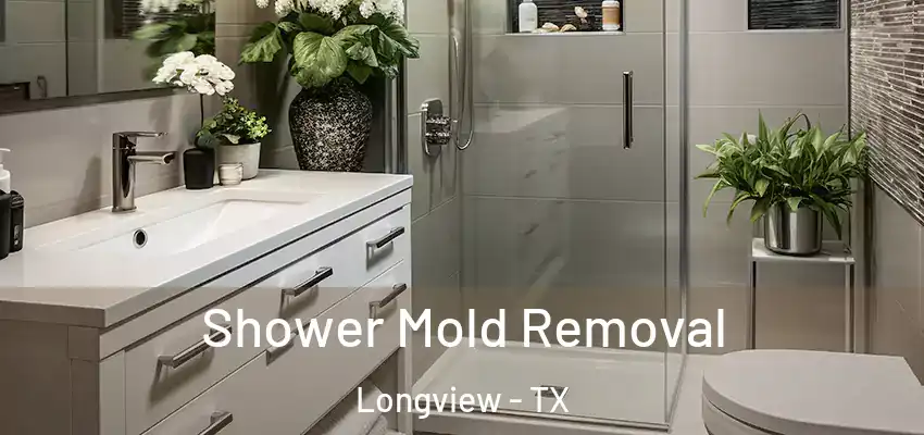 Shower Mold Removal Longview - TX