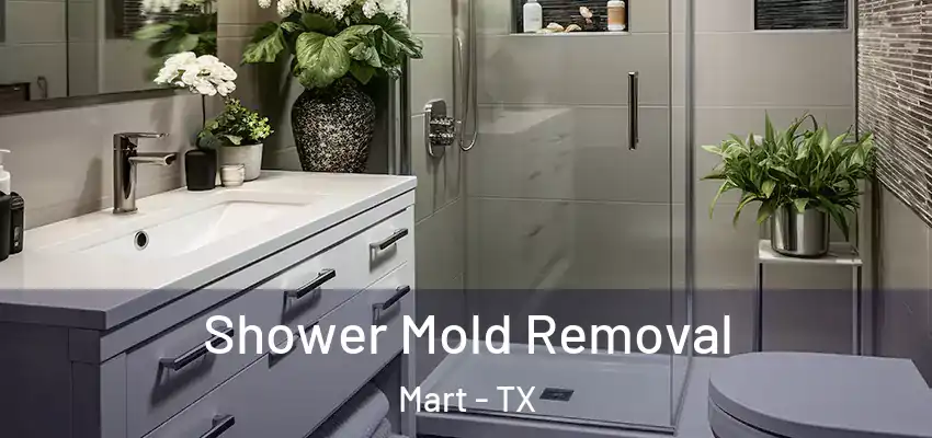  Shower Mold Removal Mart - TX