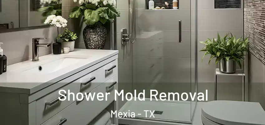 Shower Mold Removal Mexia - TX