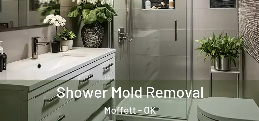 Shower Mold Removal Moffett - OK