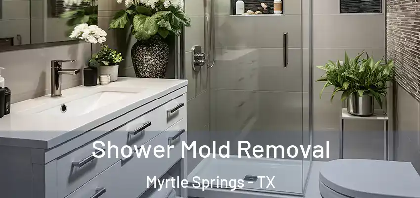 Shower Mold Removal Myrtle Springs - TX