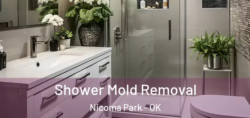  Shower Mold Removal Nicoma Park - OK