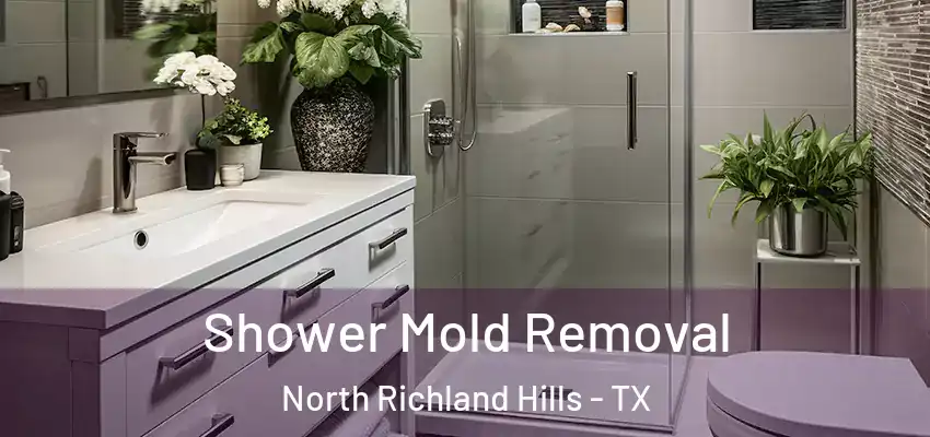 Shower Mold Removal North Richland Hills - TX