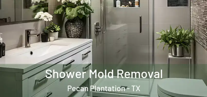 Shower Mold Removal Pecan Plantation - TX