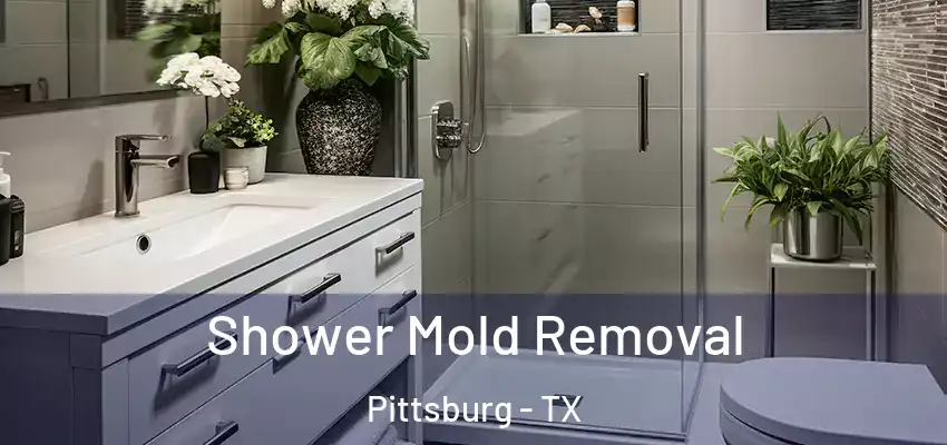 Shower Mold Removal Pittsburg - TX
