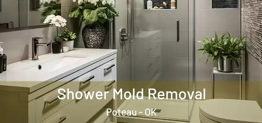 Shower Mold Removal Poteau - OK