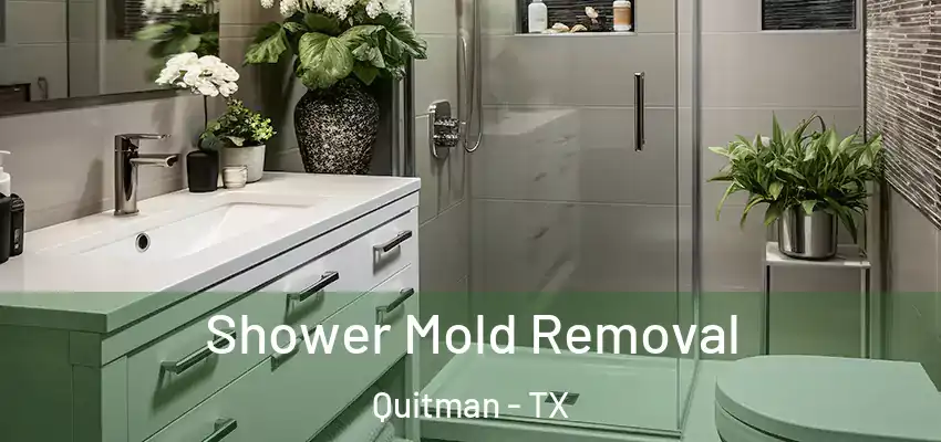  Shower Mold Removal Quitman - TX