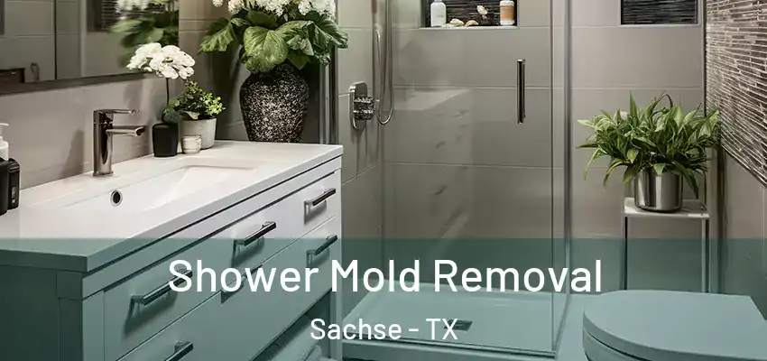  Shower Mold Removal Sachse - TX