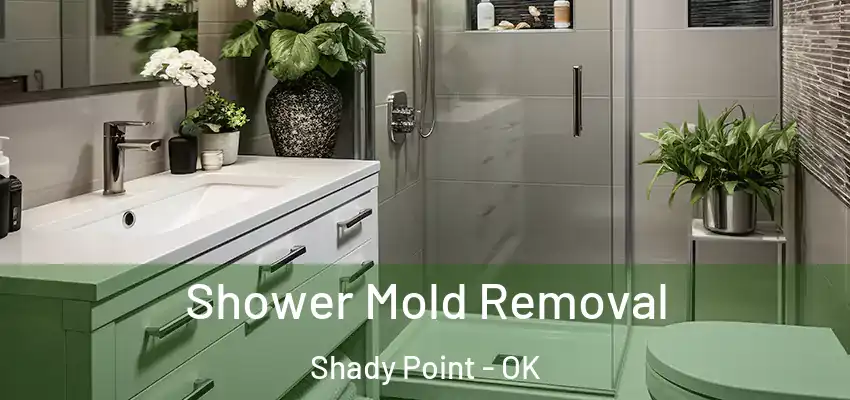  Shower Mold Removal Shady Point - OK
