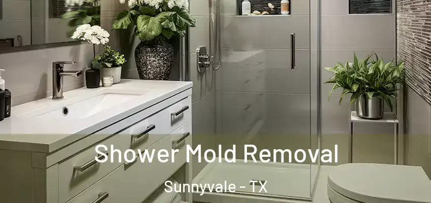  Shower Mold Removal Sunnyvale - TX