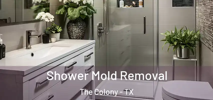 Shower Mold Removal The Colony - TX