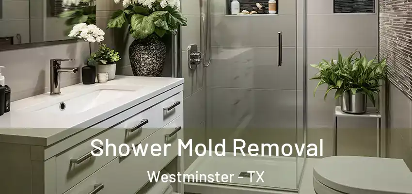  Shower Mold Removal Westminster - TX