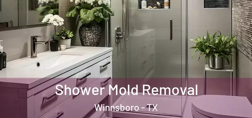  Shower Mold Removal Winnsboro - TX