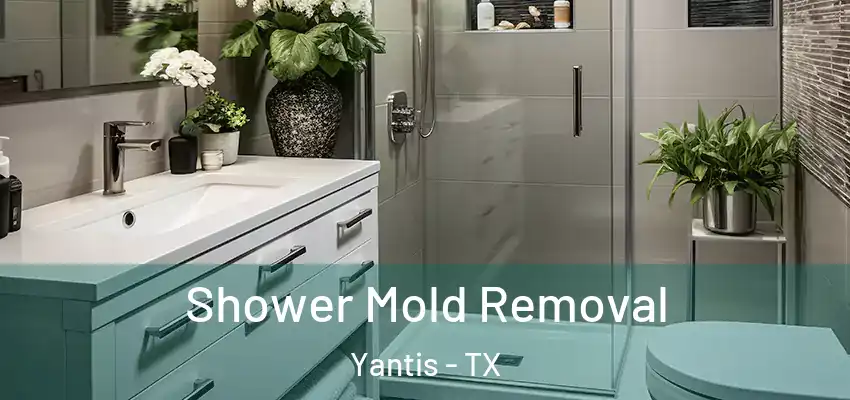  Shower Mold Removal Yantis - TX